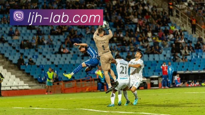 开云app平台生态图