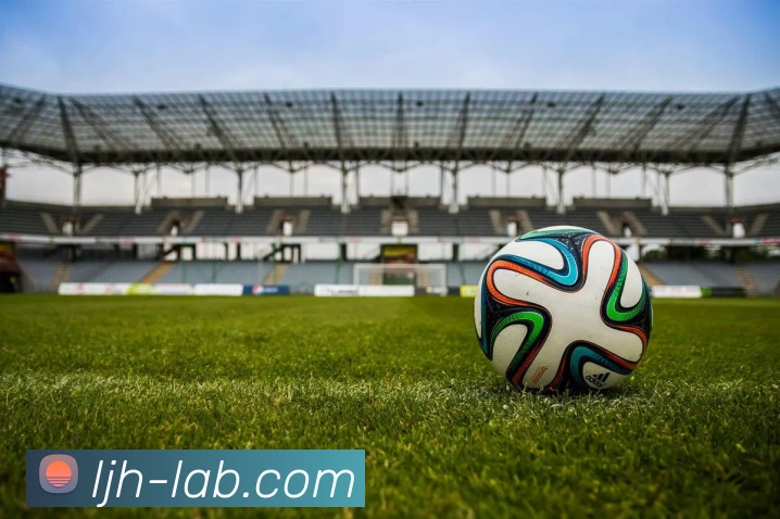 开云appAPP 封面图